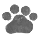 Paw